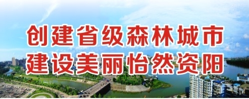 鸡鸡操逼网创建省级森林城市 建设美丽怡然资阳